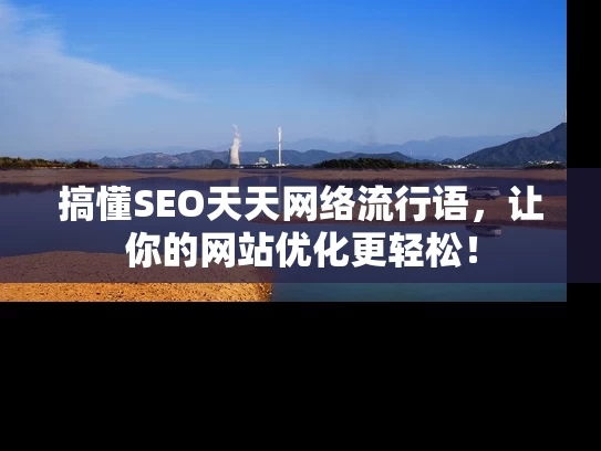 搞懂SEO天天网络流行语，让你的网站优化更轻松！