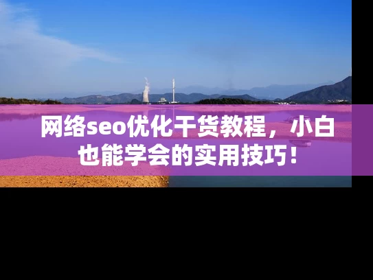 网络seo优化干货教程，小白也能学会的实用技巧！