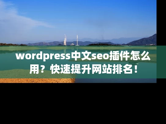 wordpress中文seo插件怎么用？快速提升网站排名！