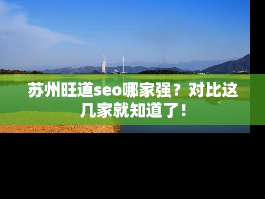 苏州旺道seo哪家强？对比这几家就知道了！