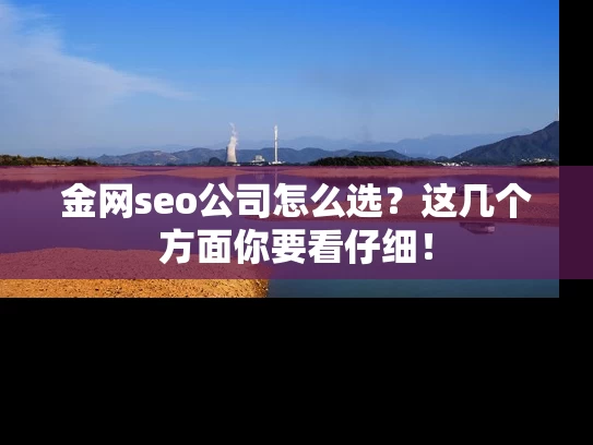 金网seo公司怎么选？这几个方面你要看仔细！