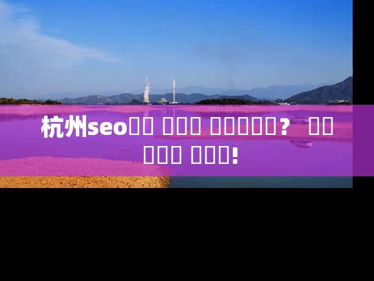 杭州seo센터 효과는 어떻습니까？ 실제 사례는 말한다!