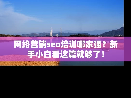 网络营销seo培训哪家强？新手小白看这篇就够了！