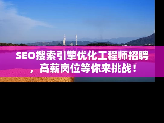 SEO搜索引擎优化工程师招聘，高薪岗位等你来挑战！