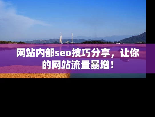 网站内部seo技巧分享，让你的网站流量暴增！