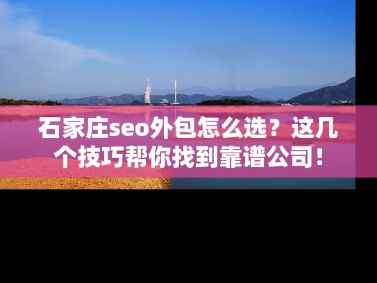石家庄seo外包怎么选？这几个技巧帮你找到靠谱公司！