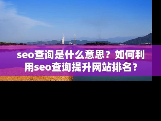 seo查询是什么意思？如何利用seo查询提升网站排名？