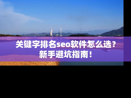 关键字排名seo软件怎么选？新手避坑指南！