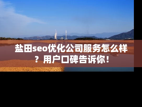 盐田seo优化公司服务怎么样？用户口碑告诉你！