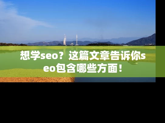 想学seo？这篇文章告诉你seo包含哪些方面！