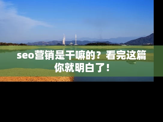 seo营销是干嘛的？看完这篇你就明白了！