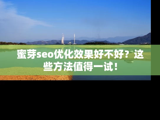 蜜芽seo优化效果好不好？这些方法值得一试！