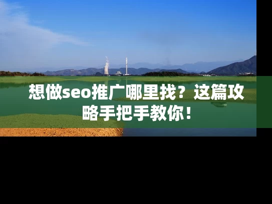 想做seo推广哪里找？这篇攻略手把手教你！