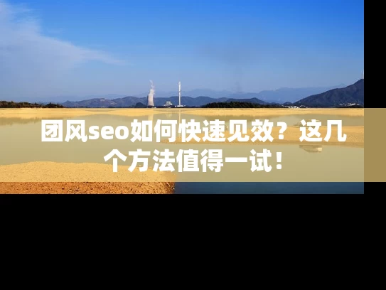 团风seo如何快速见效？这几个方法值得一试！