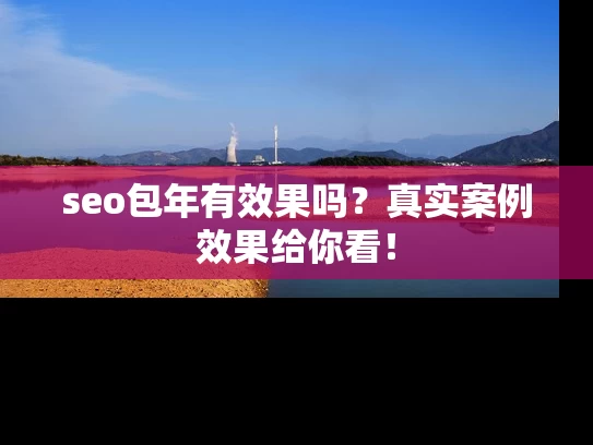 seo包年有效果吗?真实案例效果给你看! seo包年有效果吗?真实案例效果给你看!