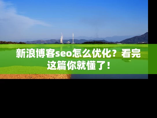 新浪博客seo怎么优化？看完这篇你就懂了！