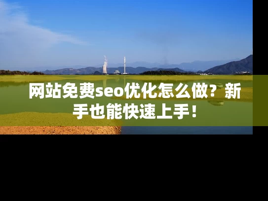 网站免费seo优化怎么做？新手也能快速上手！
