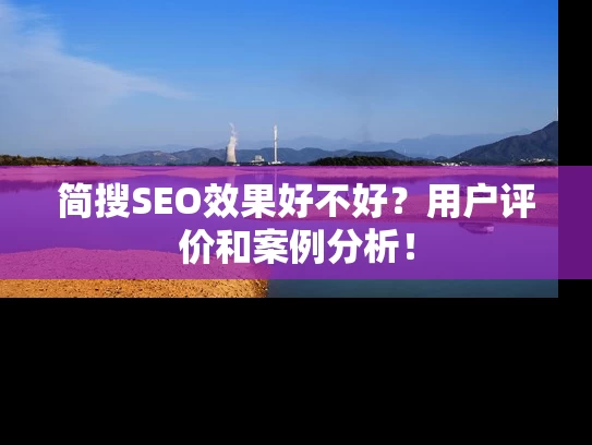 简搜SEO效果好不好？用户评价和案例分析！