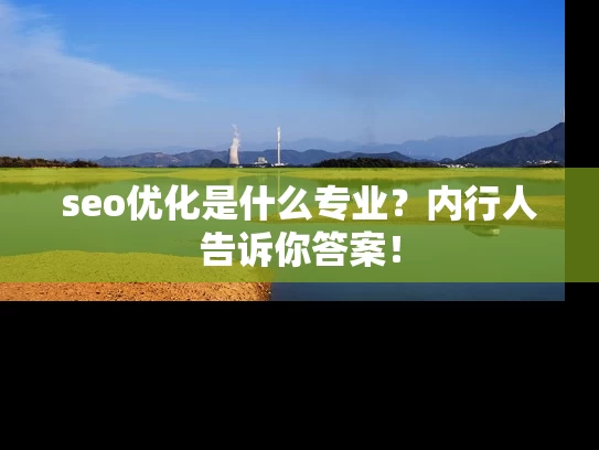 seo优化是什么专业？内行人告诉你答案！
