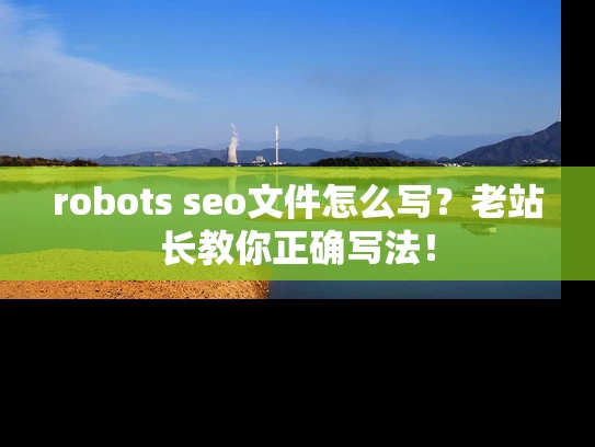 robots seo文件怎么写？老站长教你正确写法！