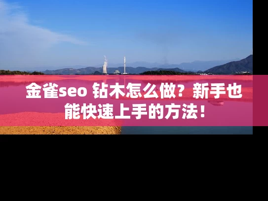 金雀seo 钻木怎么做？新手也能快速上手的方法！
