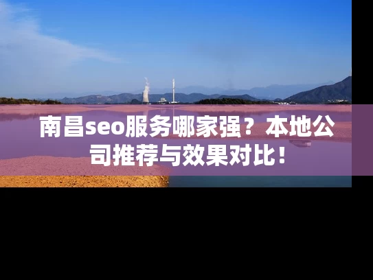 南昌seo服务哪家强？本地公司推荐与效果对比！
