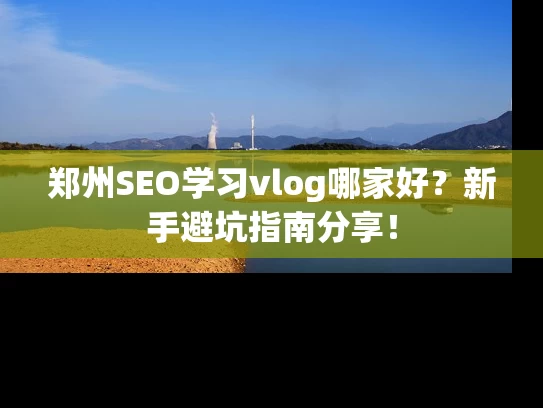 郑州SEO学习vlog哪家好？新手避坑指南分享！