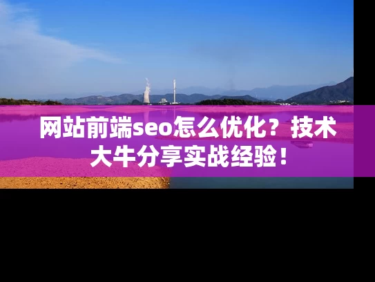 网站前端seo怎么优化？技术大牛分享实战经验！