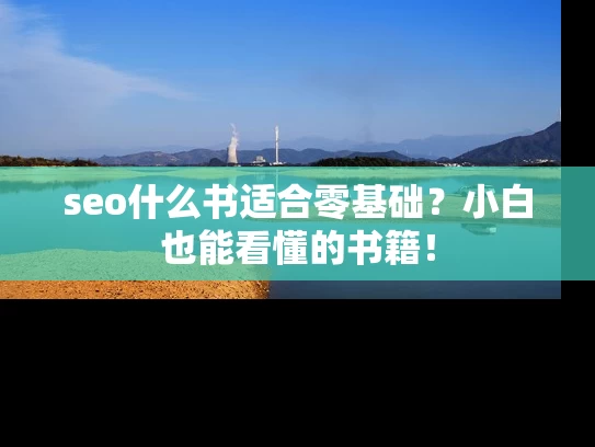 seo什么书适合零基础？小白也能看懂的书籍！