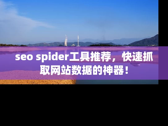 seo spider工具推荐，快速抓取网站数据的神器！