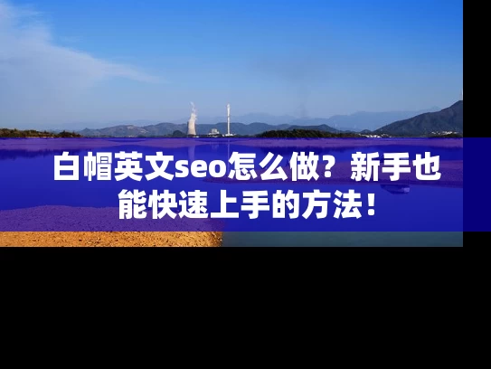 白帽英文seo怎么做？新手也能快速上手的方法！