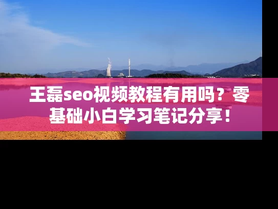 王磊seo视频教程有用吗？零基础小白学习笔记分享！