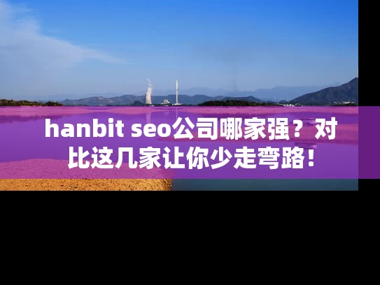 hanbit seo公司哪家强？对比这几家让你少走弯路！