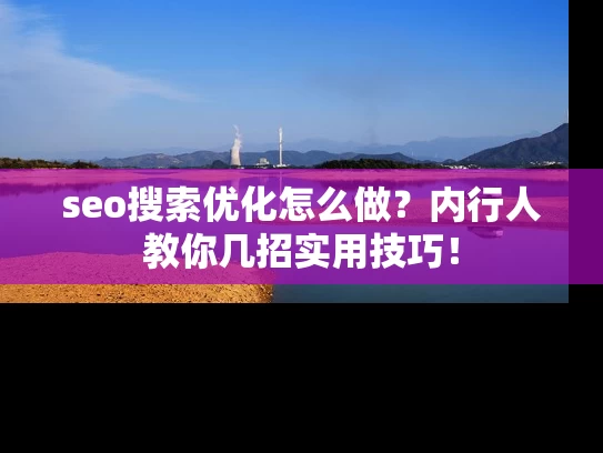 seo搜索优化怎么做？内行人教你几招实用技巧！