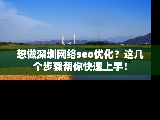 想做深圳网络seo优化？这几个步骤帮你快速上手！