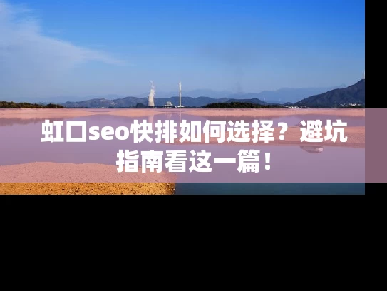 虹口seo快排如何选择？避坑指南看这一篇！