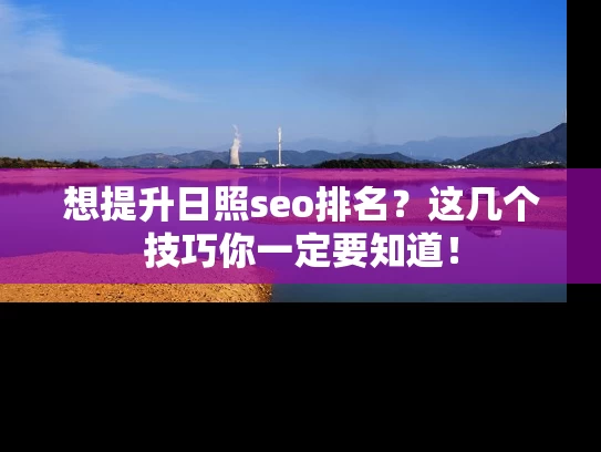 想提升日照seo排名？这几个技巧你一定要知道！