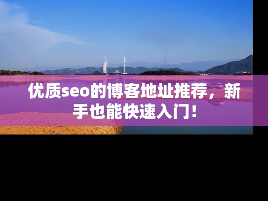 优质seo的博客地址推荐，新手也能快速入门！