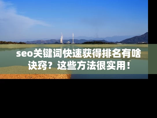 seo关键词快速获得排名有啥诀窍？这些方法很实用！