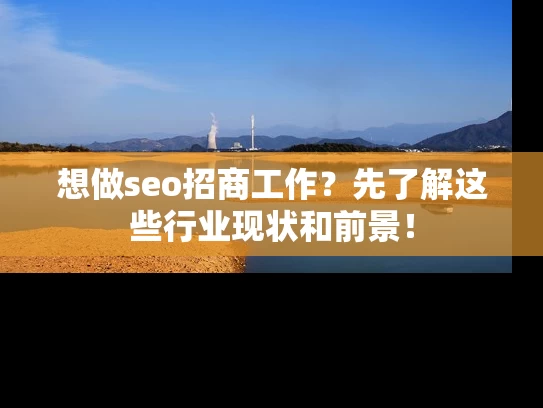 想做seo招商工作？先了解这些行业现状和前景！