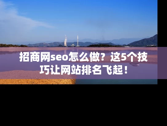 招商网seo怎么做？这5个技巧让网站排名飞起！