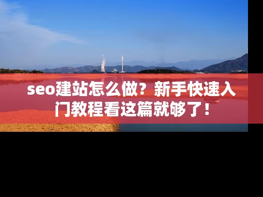 seo建站怎么做？新手快速入门教程看这篇就够了！