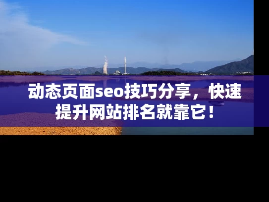 动态页面seo技巧分享，快速提升网站排名就靠它！