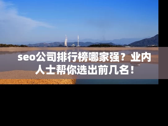 seo公司排行榜哪家强？业内人士帮你选出前几名！