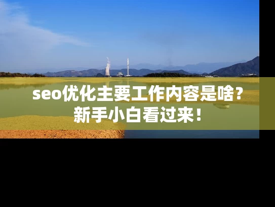 seo优化主要工作内容是啥？新手小白看过来！