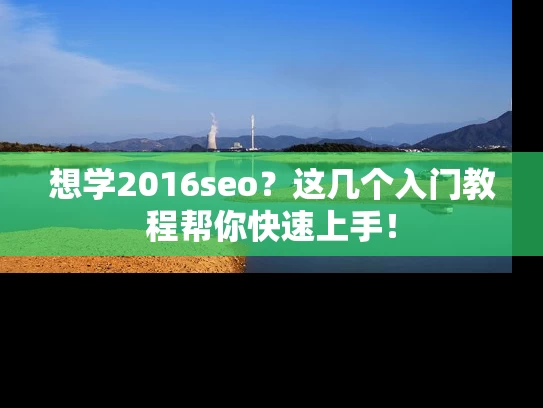 想学2016seo？这几个入门教程帮你快速上手！