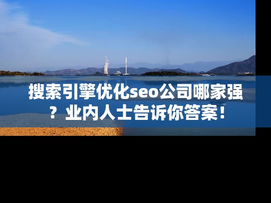搜索引擎优化seo公司哪家强？业内人士告诉你答案！