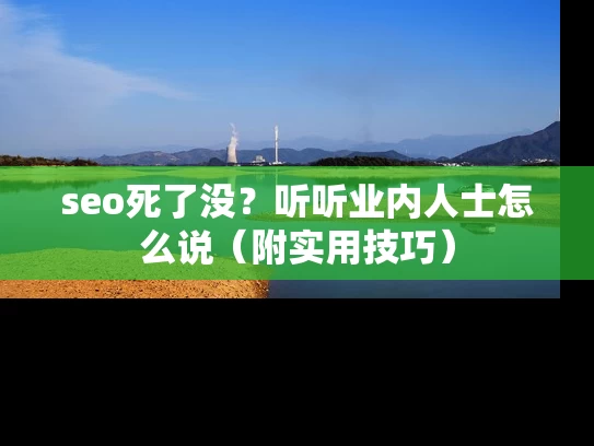 seo死了没？听听业内人士怎么说（附实用技巧）