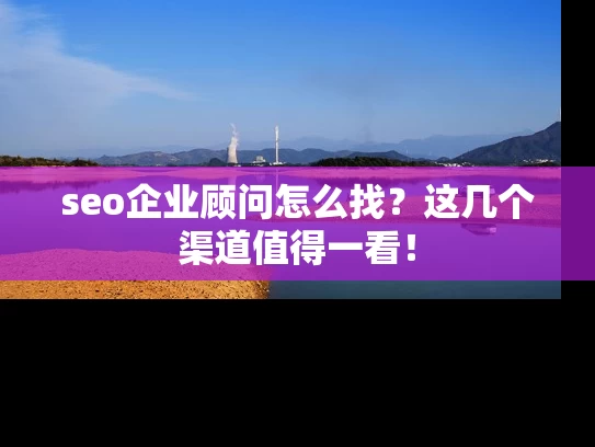 seo企业顾问怎么找？这几个渠道值得一看！