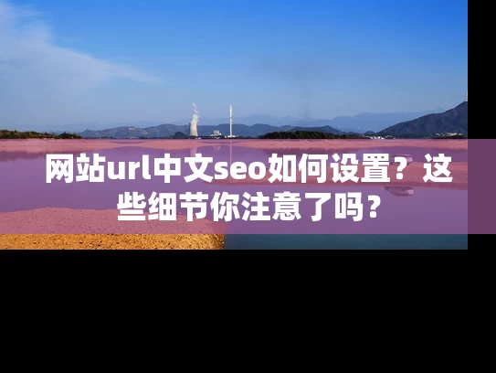 网站url中文seo如何设置？这些细节你注意了吗？